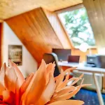 Early Year - 150 Qm Fachwerkhaus Mit Heimkino & Privat-sauna & Pool 度假居 布尔格韦德尔